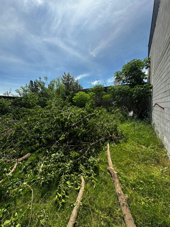 1100 m2 CUBIERTOS IMPECABLE GALPON EN ALQUILER S/LOTE DE 2200 m2 - EXCELENTE ZONA INDUSTRIAL - Cerrito al 1400 - Ituzaingo